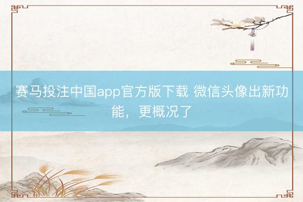 赛马投注中国app官方版下载 微信头像出新功能，更概况了