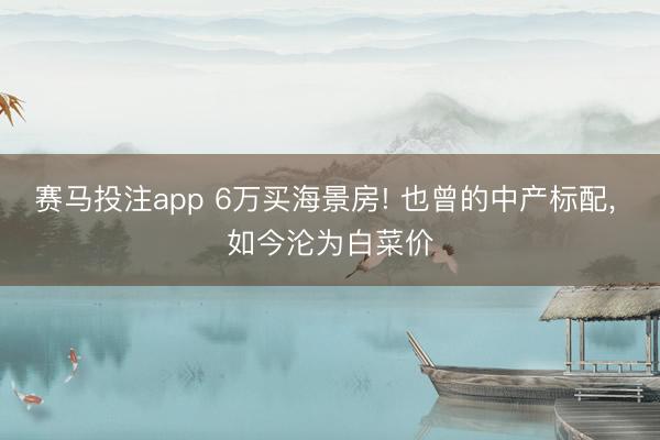 赛马投注app 6万买海景房! 也曾的中产标配， 如今沦为白菜价