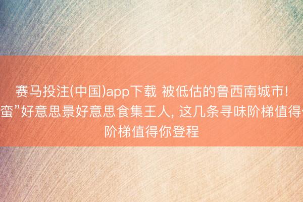 赛马投注(中国)app下载 被低估的鲁西南城市! “最野蛮”好意思景好意思食集王人， 这几条寻味阶梯值得你登程