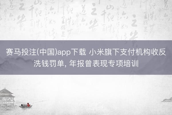 赛马投注(中国)app下载 小米旗下支付机构收反洗钱罚单， 年报曾表现专项培训