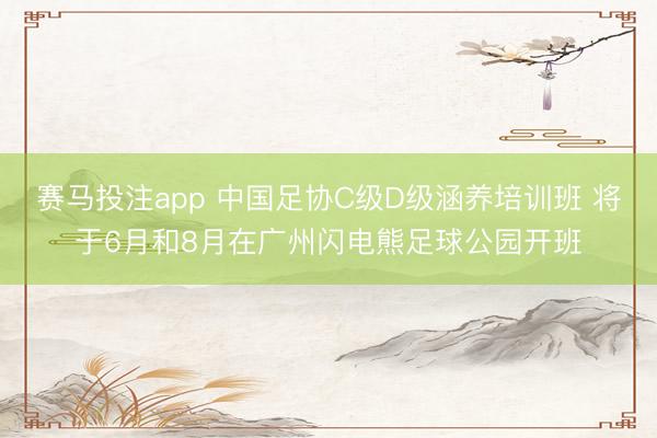 赛马投注app 中国足协C级D级涵养培训班 将于6月和8月在广州闪电熊足球公园开班