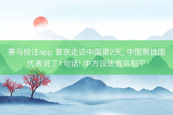 赛马投注app 普京走访中国第2天， 中国聚拢国代表说了1句话! 中方设法俄乌和平