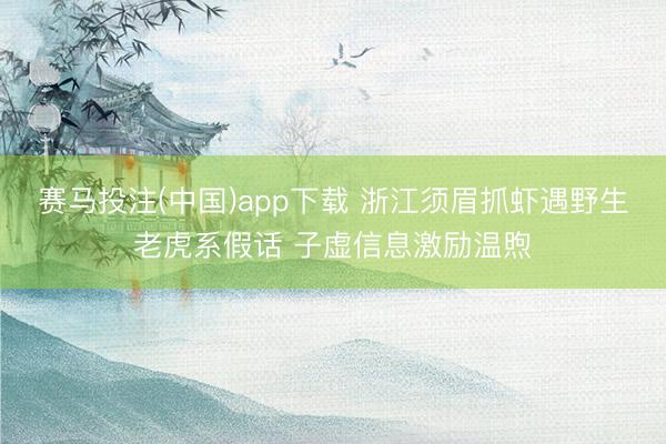 赛马投注(中国)app下载 浙江须眉抓虾遇野生老虎系假话 子虚信息激励温煦