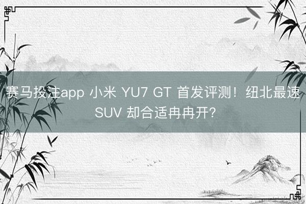 赛马投注app 小米 YU7 GT 首发评测！纽北最速 SUV 却合适冉冉开？