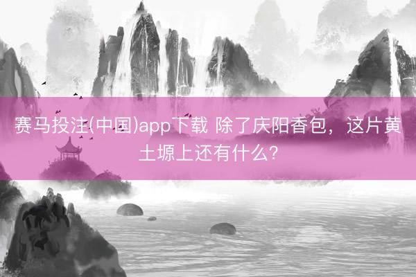 赛马投注(中国)app下载 除了庆阳香包，这片黄土塬上还有什么？