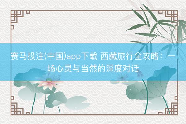 赛马投注(中国)app下载 西藏旅行全攻略:一场心灵与当然的深度对话