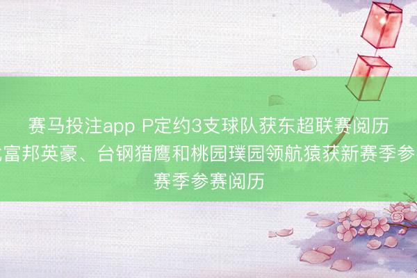 赛马投注app P定约3支球队获东超联赛阅历！台北富邦英豪、台钢猎鹰和桃园璞园领航猿获新赛季参赛阅历