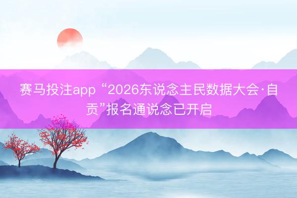 赛马投注app “2026东说念主民数据大会·自贡”报名通说念已开启