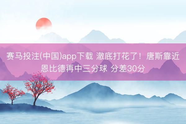 赛马投注(中国)app下载 澈底打花了！唐斯靠近恩比德再中三分球 分差30分