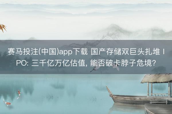 赛马投注(中国)app下载 国产存储双巨头扎堆 IPO: 三千亿万亿估值, 能否破卡脖子危境?