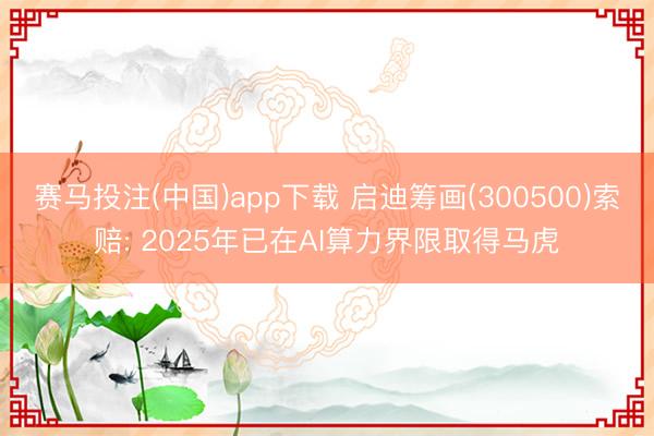 赛马投注(中国)app下载 启迪筹画(300500)索赔: 2025年已在AI算力界限取得马虎