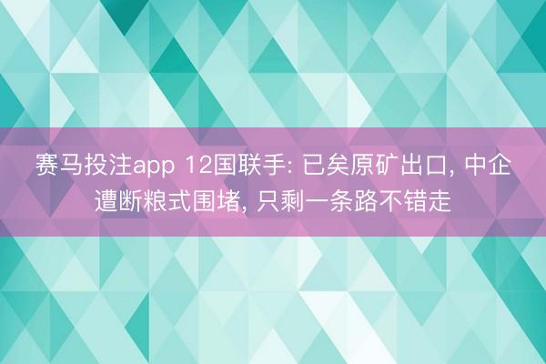 赛马投注app 12国联手: 已矣原矿出口， 中企遭断粮式围堵， 只剩一条路不错走