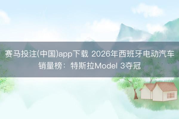 赛马投注(中国)app下载 2026年西班牙电动汽车销量榜：特斯拉Model 3夺冠