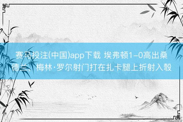 赛马投注(中国)app下载 埃弗顿1-0高出桑德兰，梅林·罗尔射门打在扎卡腿上折射入彀