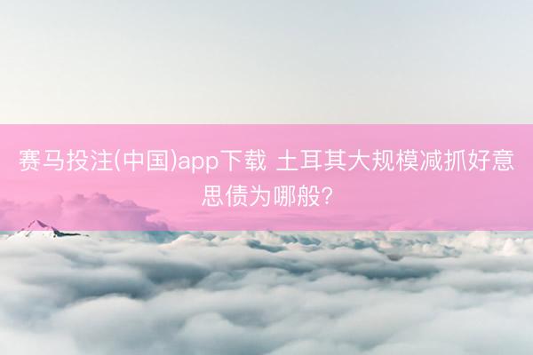赛马投注(中国)app下载 土耳其大规模减抓好意思债为哪般?