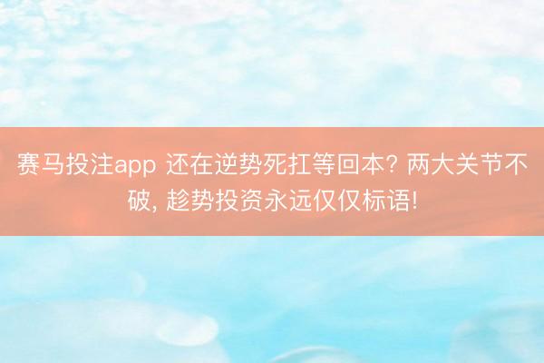 赛马投注app 还在逆势死扛等回本? 两大关节不破， 趁势投资永远仅仅标语!