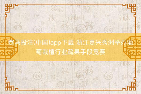 赛马投注(中国)app下载 浙江嘉兴秀洲举办葡萄栽植行业疏果手段竞赛