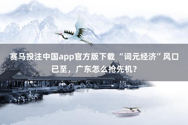 赛马投注中国app官方版下载 “词元经济”风口已至，广东怎么抢先机？