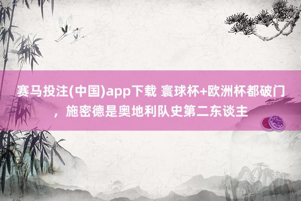 赛马投注(中国)app下载 寰球杯+欧洲杯都破门，施密德是奥地利队史第二东谈主