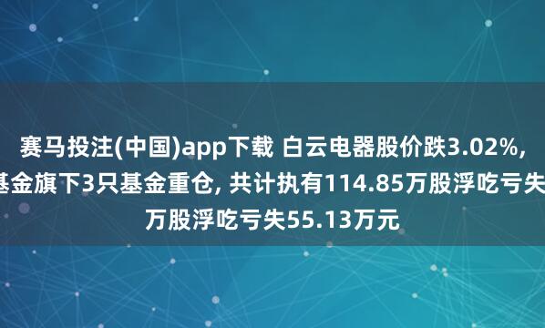 赛马投注(中国)app下载 白云电器股价跌3.02%， 正派富邦基金旗下3只基金重仓， 共计执有114.85万股浮吃亏失55.13万元